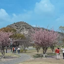 苏州旅游 缩略图 17