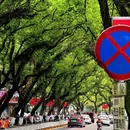 桂林旅游 缩略图 3