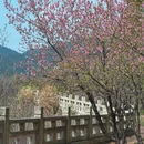 苏州旅游 缩略图 16