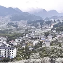 重庆旅游 缩略图 11