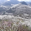 重庆旅游 缩略图 8