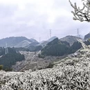 重庆旅游 缩略图 9