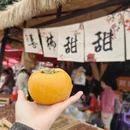 桂林旅游 缩略图 3