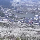 重庆旅游 缩略图 13