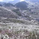 重庆旅游 缩略图 14