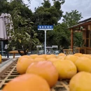 桂林旅游 缩略图 8