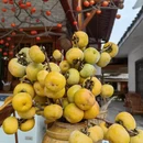 桂林旅游 缩略图 4