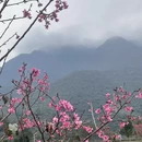 汕尾旅游 缩略图 1