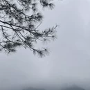 汕尾旅游 缩略图 2