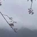 汕尾旅游 缩略图 4