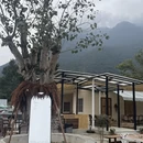 汕尾旅游 缩略图 9