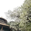 桂林旅游 缩略图 1
