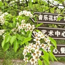 桂林旅游 缩略图 2