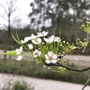 桂林旅游 缩略图 9