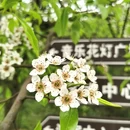 桂林旅游 缩略图 6