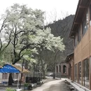 桂林旅游 缩略图 18