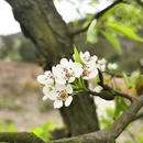 桂林旅游 缩略图 8