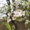 桂林旅游 缩略图 12