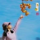 贺州旅游 缩略图 8