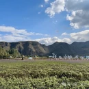 保定旅游 缩略图 5