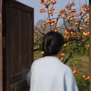 贺州旅游 缩略图 7