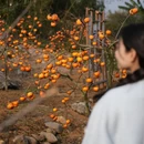 贺州旅游 缩略图 12