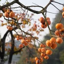 贺州旅游 缩略图 9