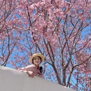 桂林旅游 缩略图 1