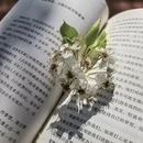 桂林旅游 缩略图 12