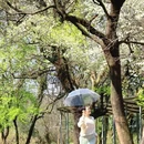 桂林旅游 缩略图 11