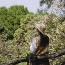 重庆旅游 缩略图 4