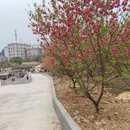桂林旅游 缩略图 1