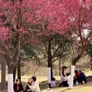 汉中旅游 缩略图 4