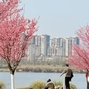 汉中旅游 缩略图 2