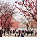 汉中旅游 缩略图 7
