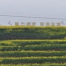 汉中旅游 缩略图 7