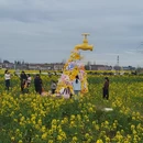 汉中旅游 缩略图 14