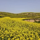 西安旅游 缩略图 1