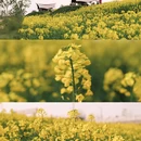 西安旅游 缩略图 1
