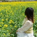 西安旅游 缩略图 3