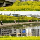 西安旅游 缩略图 4