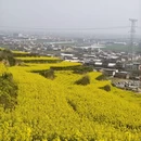 西安旅游 缩略图 3
