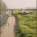 西安旅游 缩略图 8