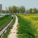 西安旅游 缩略图 7