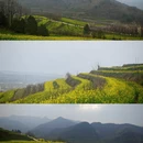 西安旅游 缩略图 1