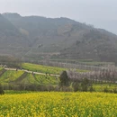 西安旅游 缩略图 3