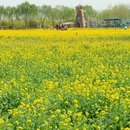 西安旅游 缩略图 5