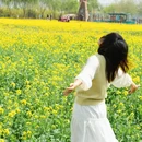 西安旅游 缩略图 4