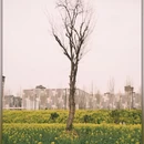 西安旅游 缩略图 5