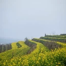 西安旅游 缩略图 4